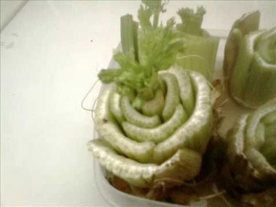 Tutorial Rápido: Cómo Sembrar Apio en Casa. How to plant celery at home?