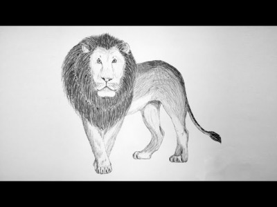 Como dibujar un LEON EDibujos a mano alzada