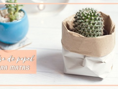 Haz bolsas de papel reciclado para tus plantas DIY | Carolina Llano