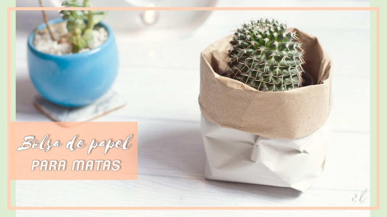 Haz bolsas de papel reciclado para tus plantas DIY | Carolina Llano