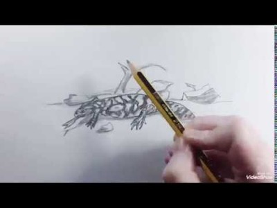 How to draw a Gila Monster (speed) - Como dibujar un Monstruo de Gila (rápido)