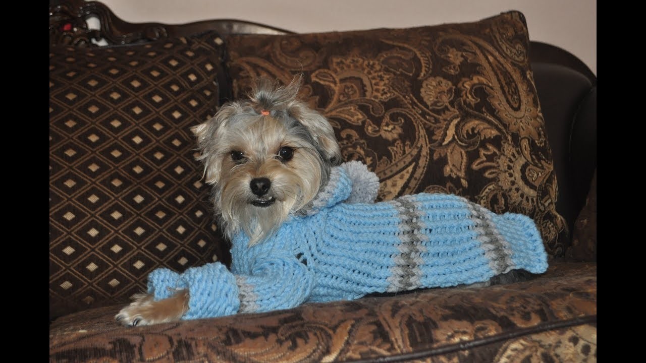 Sueter o jersey para perro tejido con telar knitting loom dog sweater