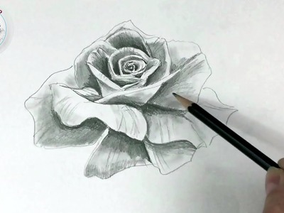 Como Dibujar una Rosa Realista con Un solo Lapiz