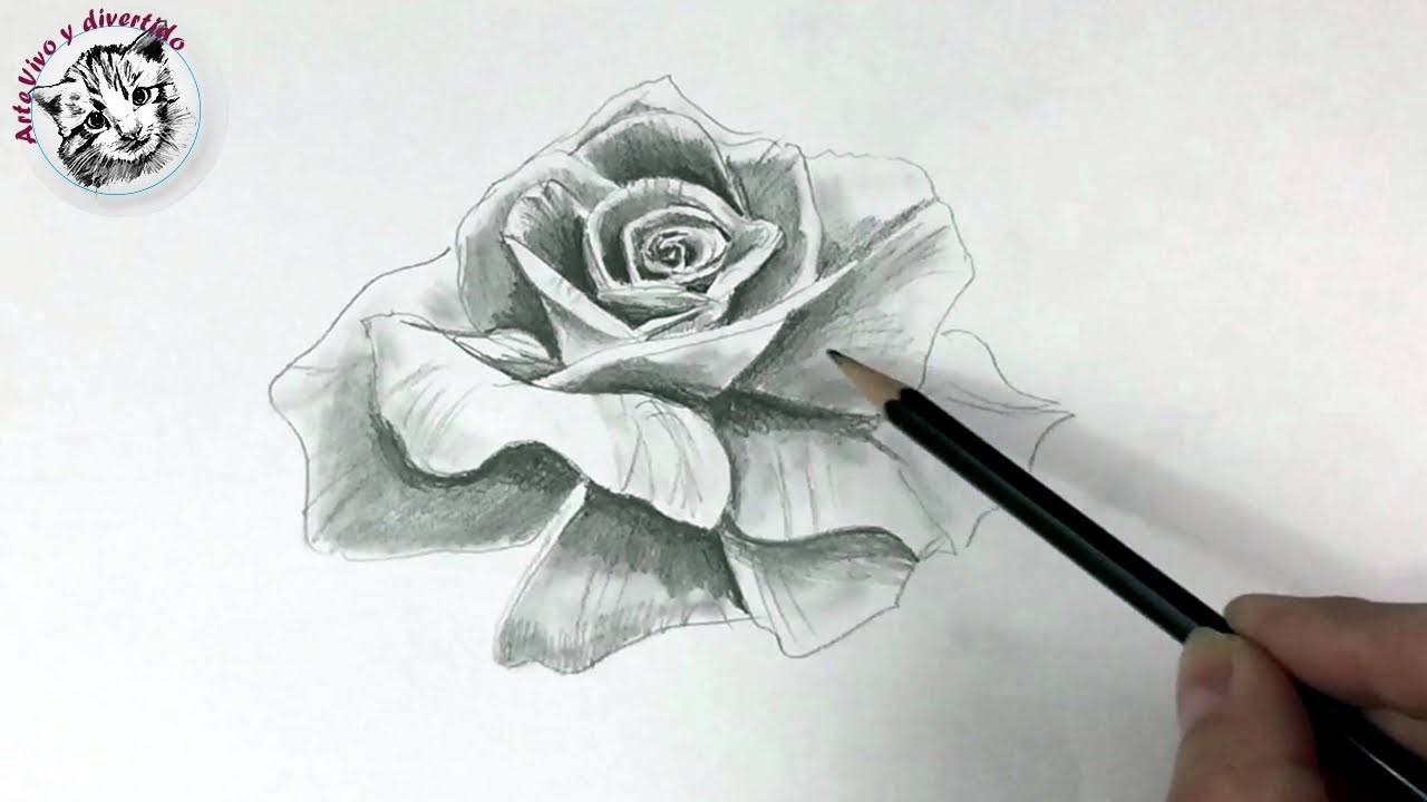 Como Dibujar una Rosa Realista con Un solo Lapiz