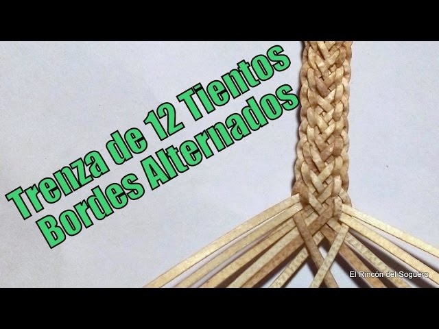 Ingeniosa trenza de 12 tientos "El Rincón del Soguero"