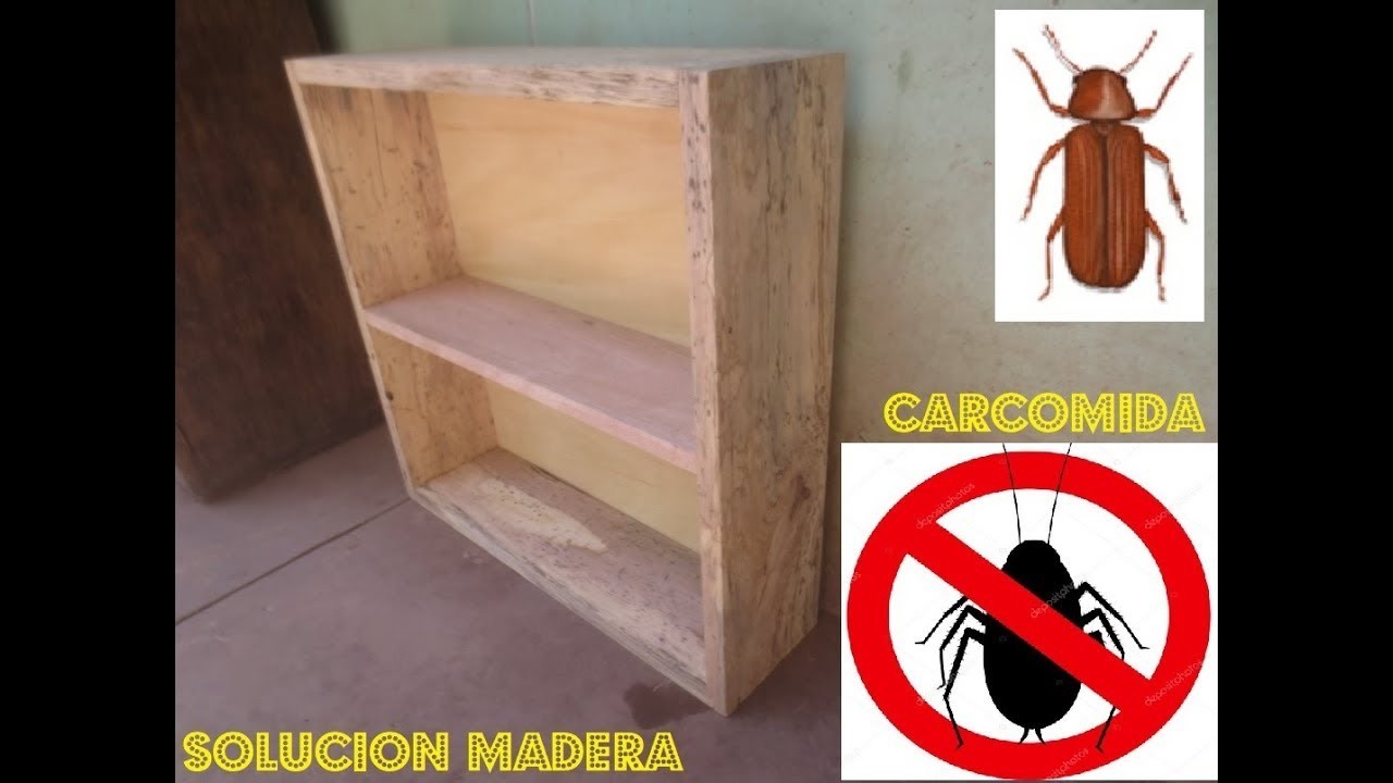 RECUPERANDO MADERA CARCOMIDA POR INSECTOS Alacena De Madera - Luis Lovon