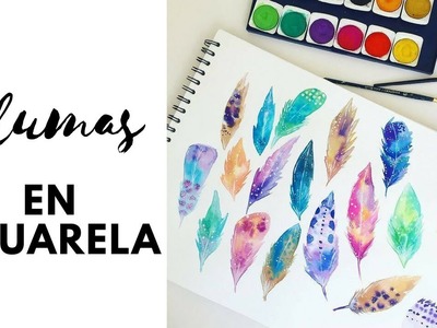 Plumas en acuarela - Sole