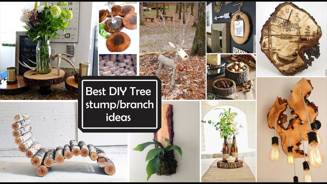 Ideas de Decoración con Ramas y troncos.Best DIY Tree stump.branch ideas