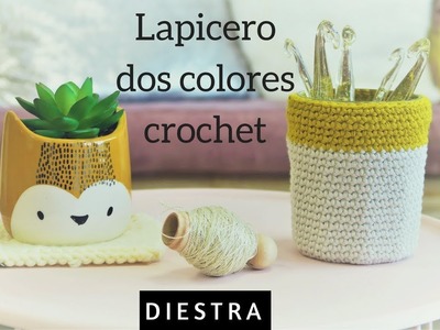 LAPICERO CROCHET DOS COLORES | DIESTRA | CHIC DIY