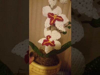 Mi primera Orquídea tejida -