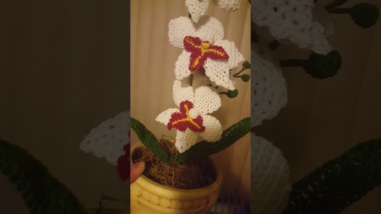 Mi primera Orquídea tejida -