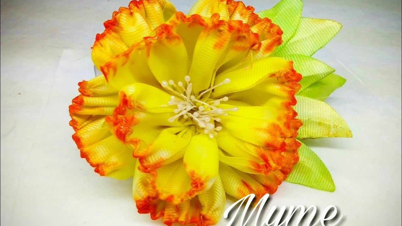 CLAVEL DE LISTON POPOTILLO-bunga pita
myme mijangos