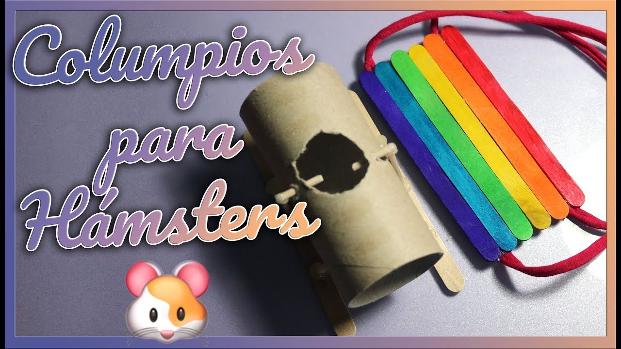 ¡NUEVOS JUGUETES PARA HAMSTERS! DIY Columpios fáciles y rápidos| MOA's World