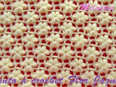 Punto a crochet FLOR JAZMÍN paso a paso para aplicar en mantitas, chalecos y cojines