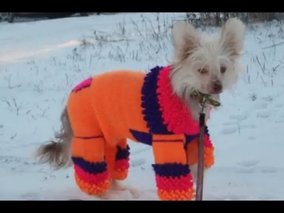 Ropa a crochet para mascotas de raza pequeña