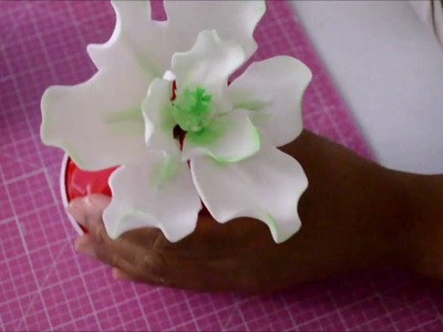 Como Hacer Magnolias