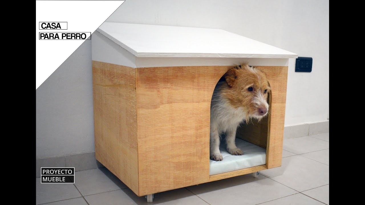 DIY Casa Para Perro. ( Dog House )