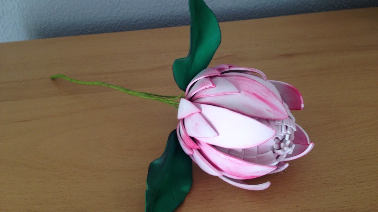 Flor de la protea  Flower of Protea