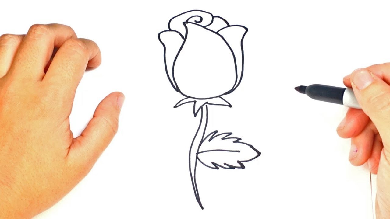 Cómo dibujar un Rosa paso a paso | Dibujo fácil de Rosa