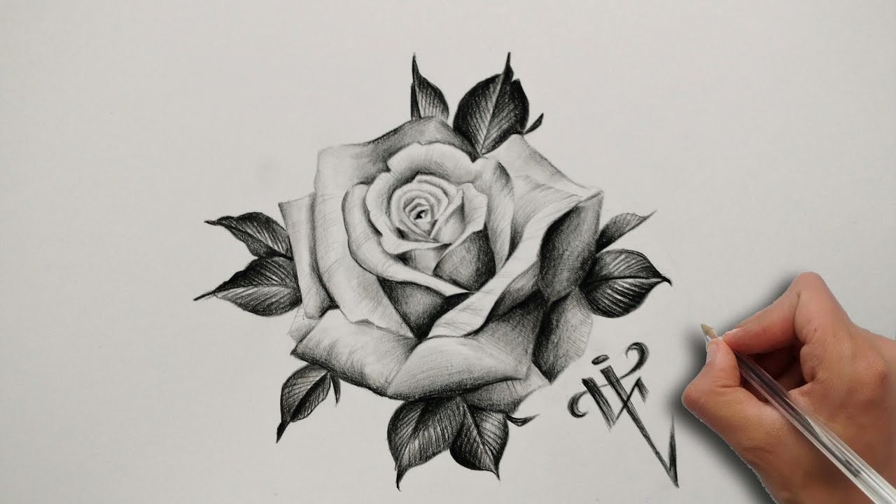Diseño Tatuaje Rosa Realista. Realistic Rose Tattoo Design - Nosfe Ink Tattoo