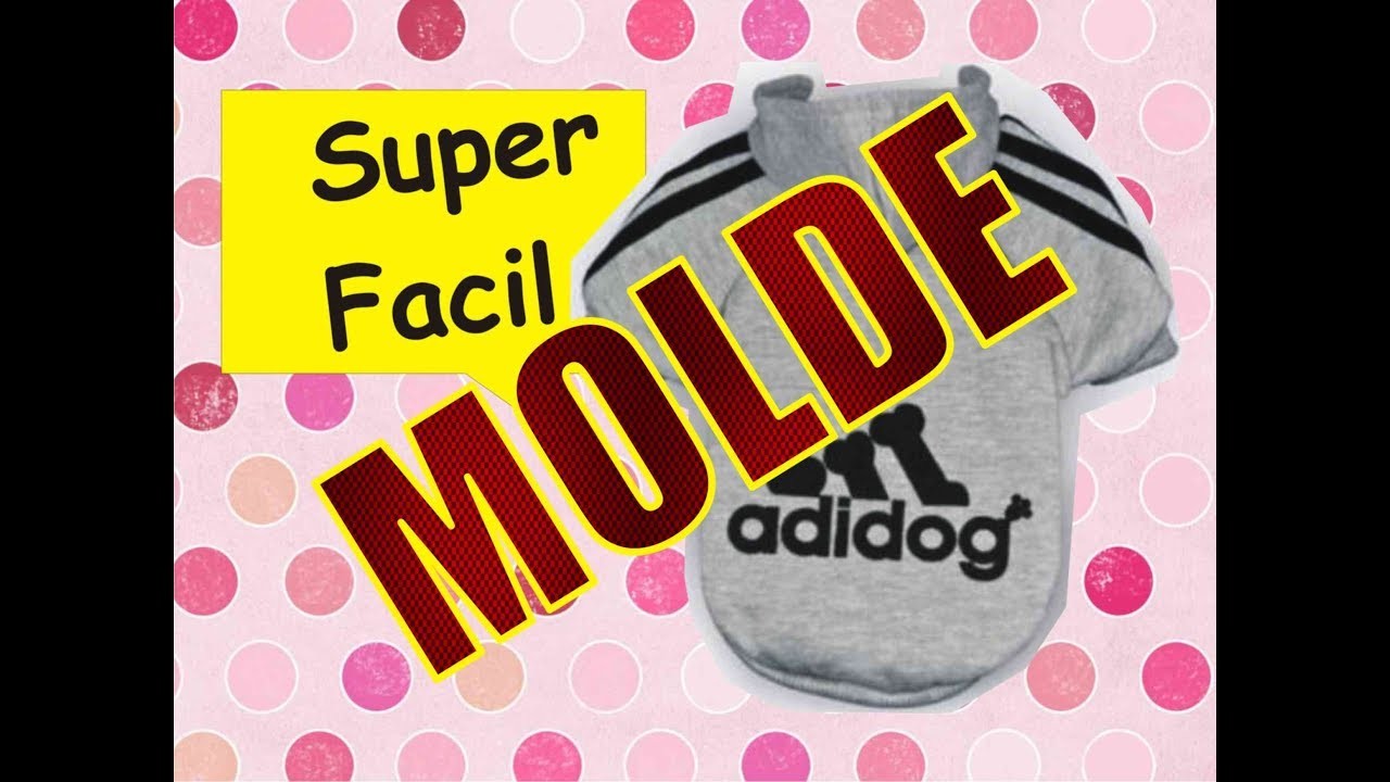 MOLDE!!!????????Hacer ropita para perrito- Easy D.I.Y. Dog Clothes!!!????