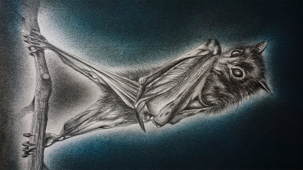 Aterrador Dibujo de un Murciélago a Lápiz - Especial Halloween