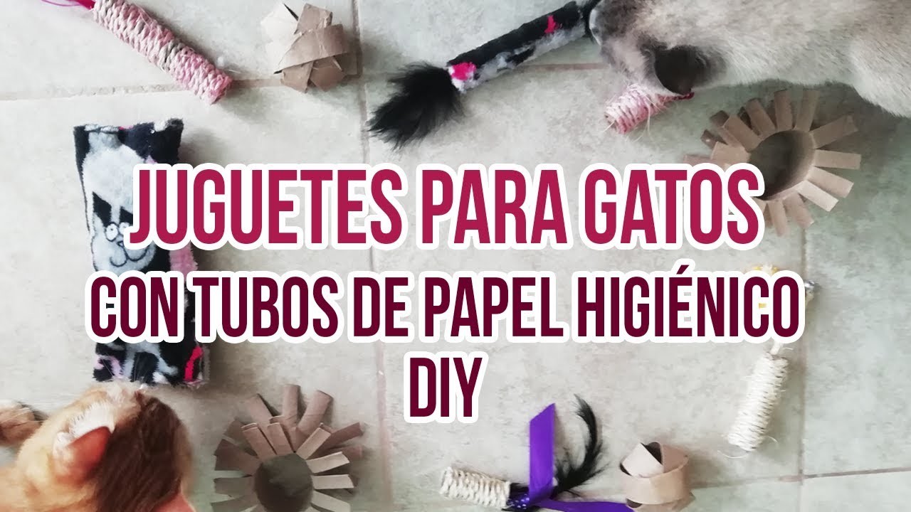 Juguetes para gatos con tubos de papel higiénico DIY | CosmicCats