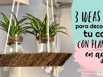 Decorar con plantas en agua - 3 ideas DIY