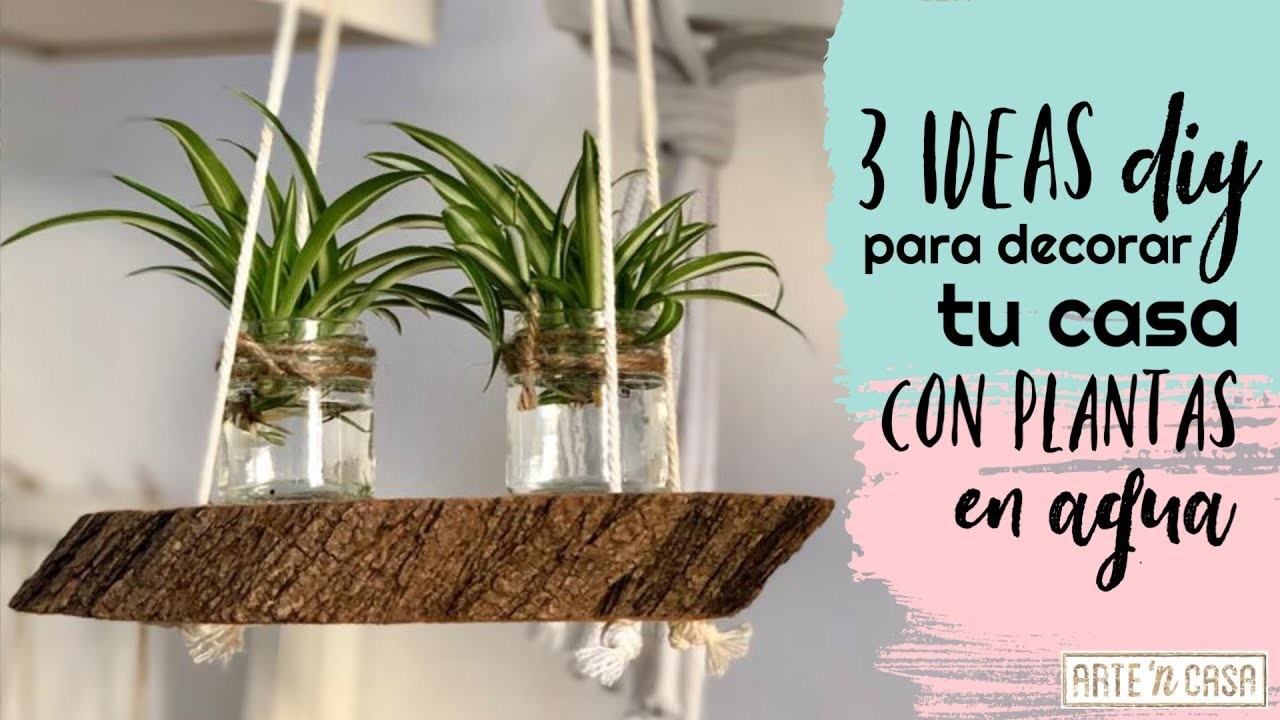 Decorar con plantas en agua - 3 ideas DIY
