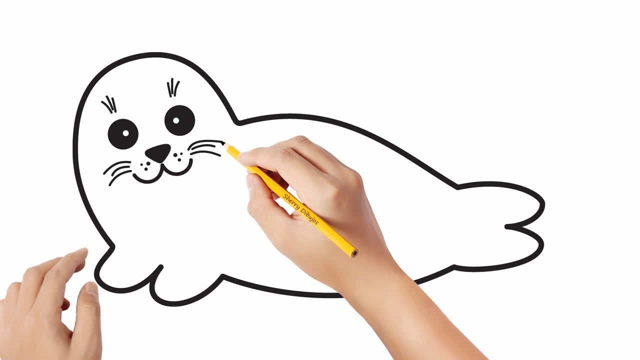 Cómo dibujar un foca | Dibujos sencillos