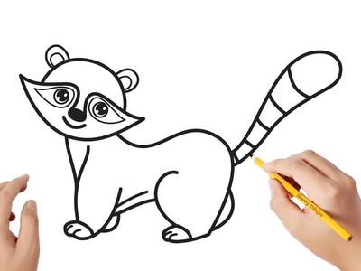 Cómo dibujar un mapache | Dibujos sencillos