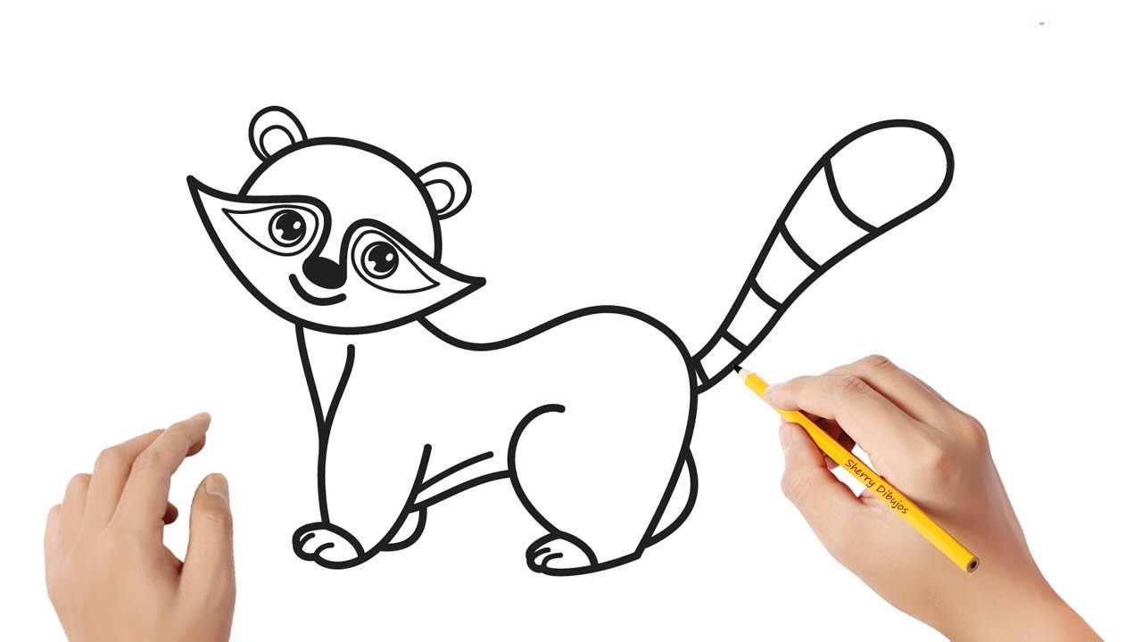 Cómo dibujar un mapache | Dibujos sencillos