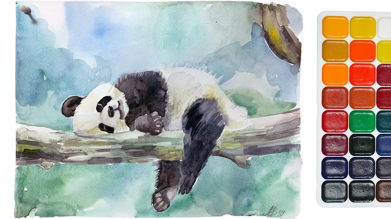 Como Dibujar y Colorear una Panda (dibujos para niños) - Aprende Colores, Acuarelas