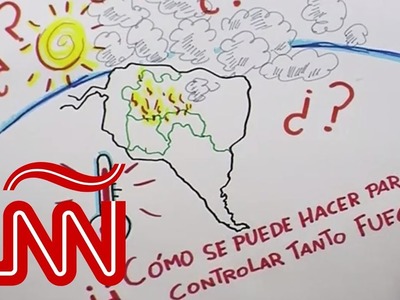 Los incendios en el Amazonas explicados con dibujos en 85 segundos