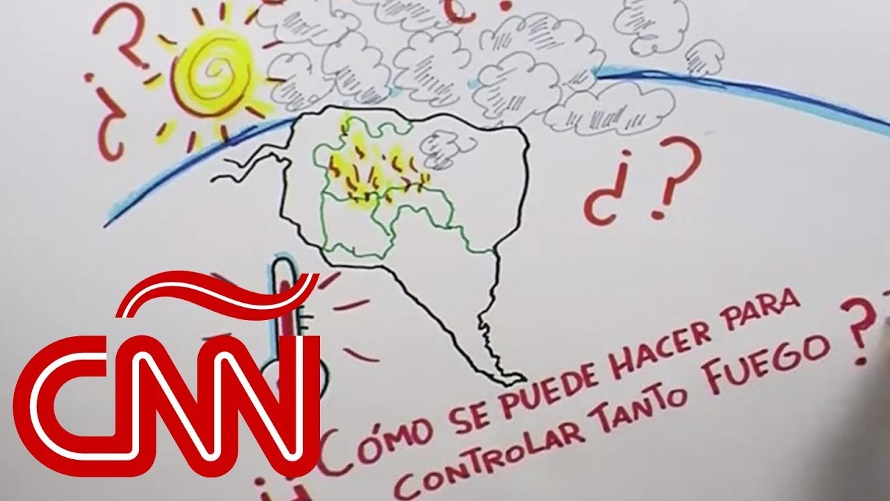 Los incendios en el Amazonas explicados con dibujos en 85 segundos