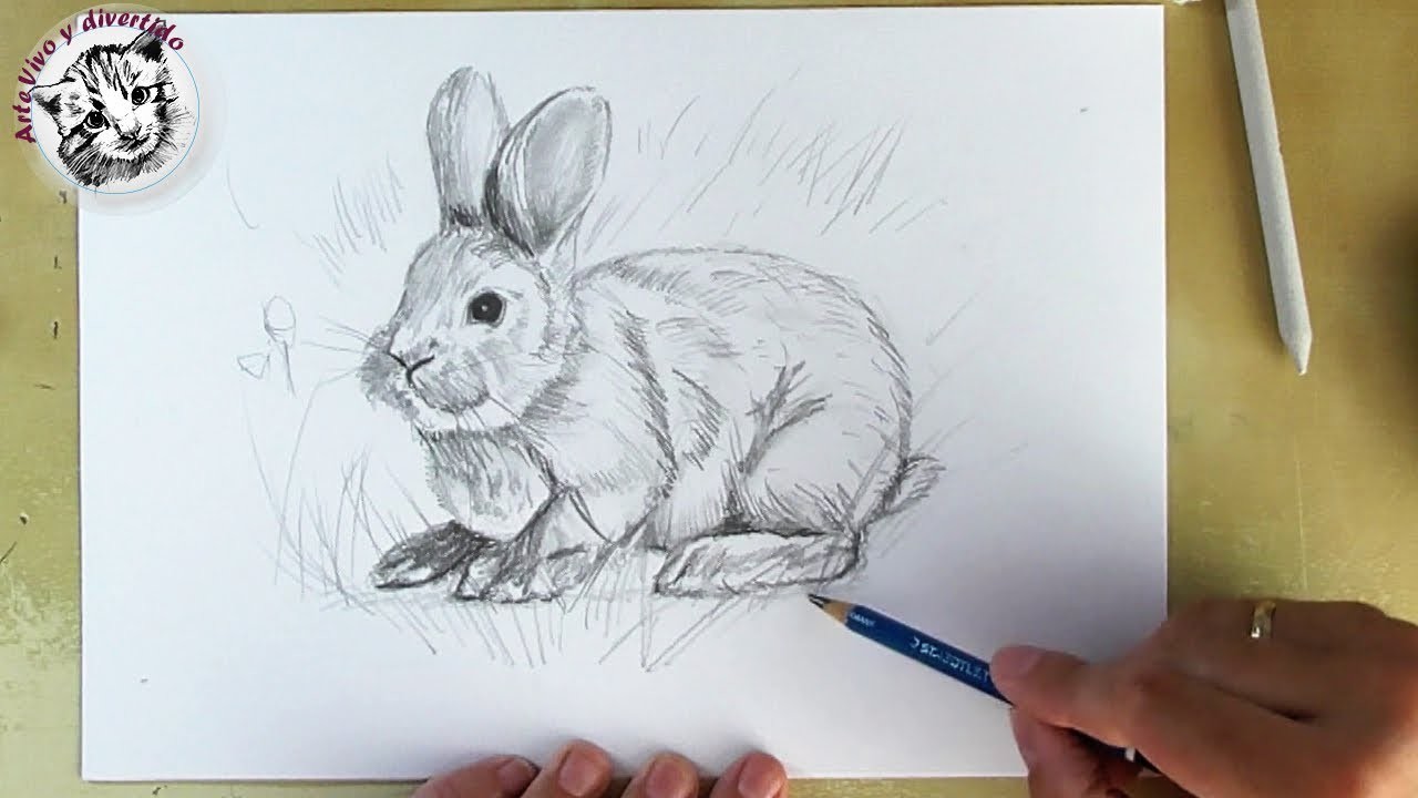 Como Dibujar un Conejo con Lapiz para Principiantes muy Facil y Paso a Paso