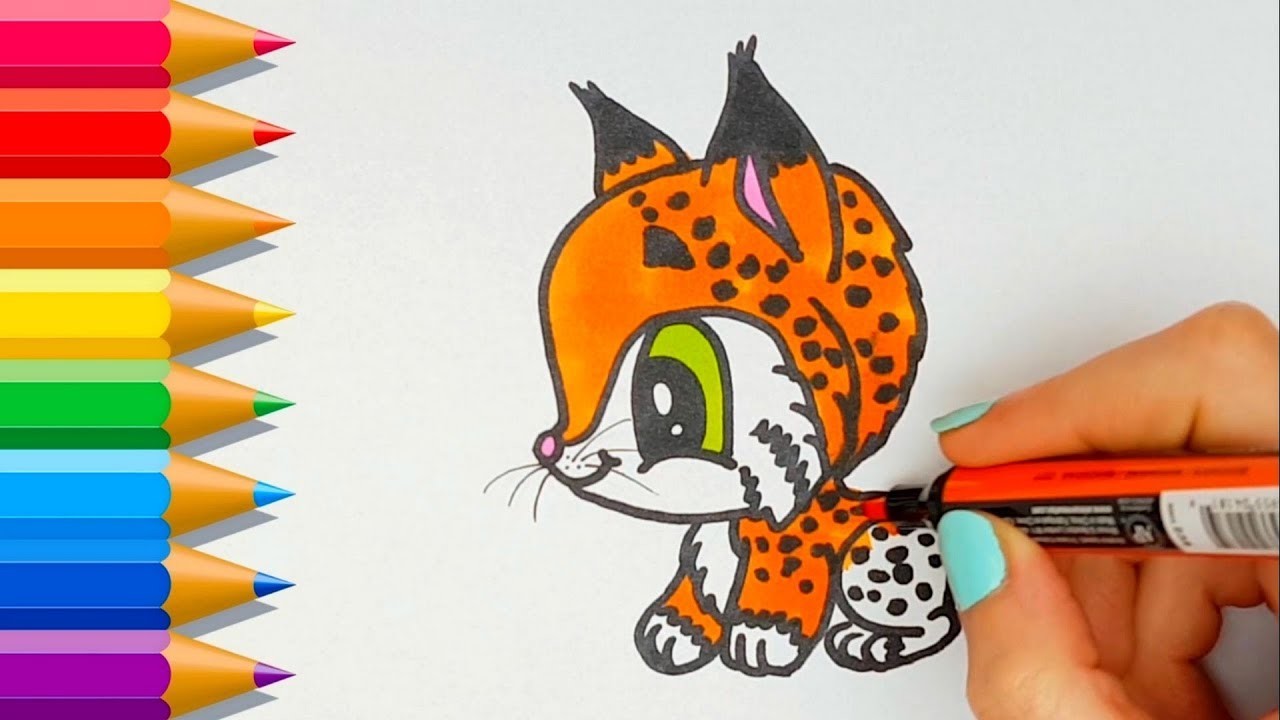 Como dibujar un Lince Kawaii ???? How to draw a cute lynx
