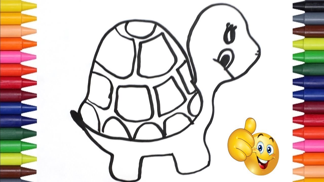 Como dibujar una Tortuga Muy Fácil - Paso a Paso