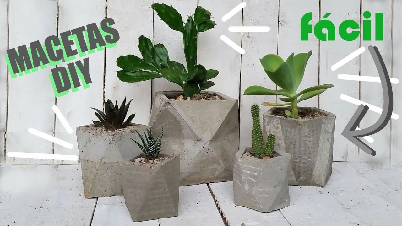 Macetas de cemento DIY | Decoración con plantas