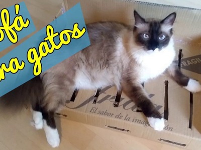 SOFÁ para GATOS ???????????? DIY 2019