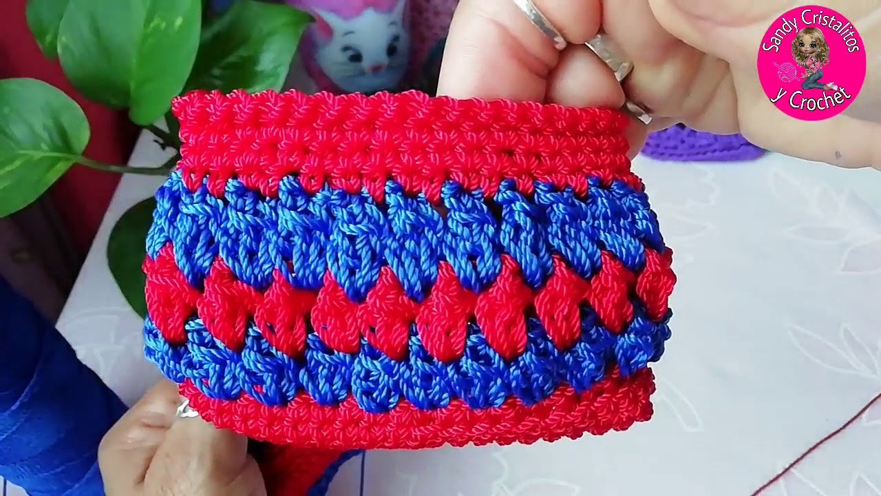 Monedero a Crochet Roji Azul!