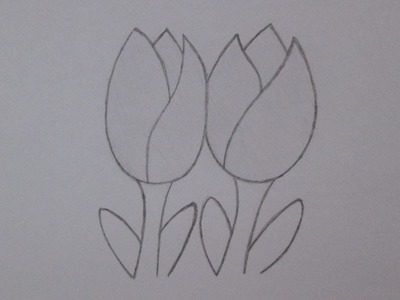 Cómo dibujar tulipanes flores