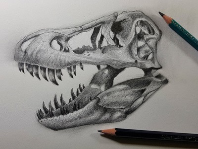 Cómo Dibujar un Cráneo de T Rex a Lápiz Paso a Paso