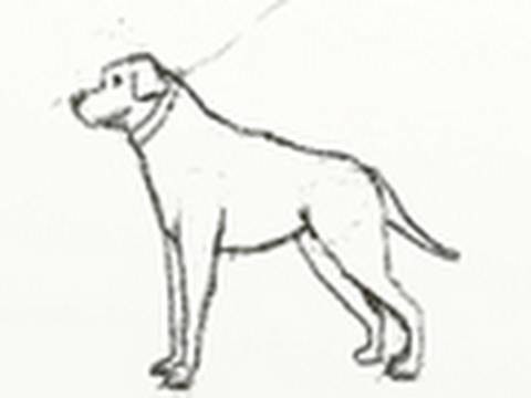 Como dibujar un perro paso a paso fácilmente