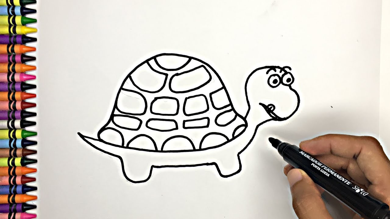 COMO DIBUJAR UNA tortuga facil. dibujos para niños