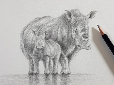 Cómo Dibujar unos Rinocerontes con LÁPICES H