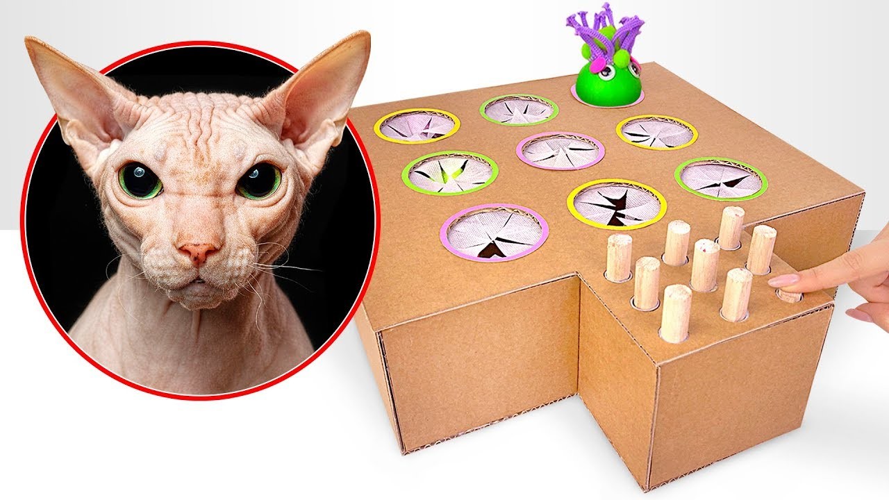 Cómo hacer un juguete de cartón para gatos Whack-A-Mole