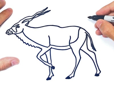 Cómo dibujar un Antilope Paso a Paso | Dibujo de Antilope