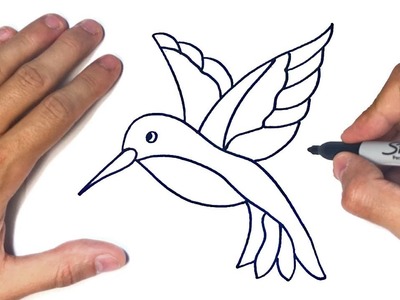 Cómo dibujar un Colibri Paso a Paso | Dibujo de Colibri