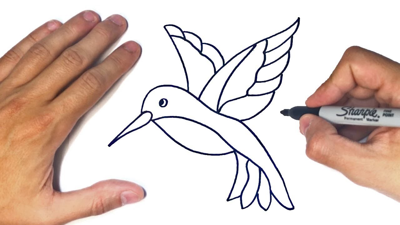 Cómo dibujar un Colibri Paso a Paso | Dibujo de Colibri